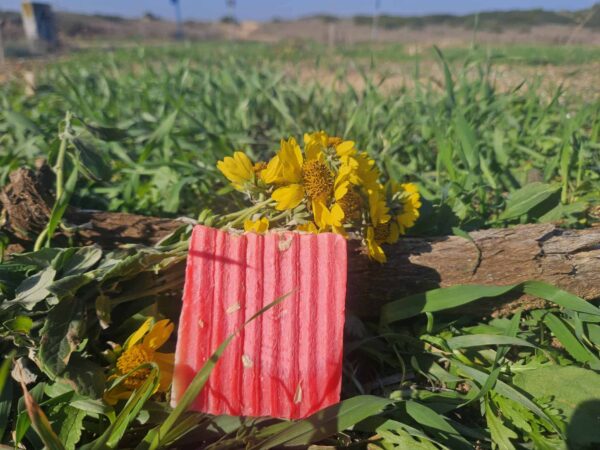 סבון מנגו שמן קלנדולה  עם ריח מנגו , ליים , בזיליקום