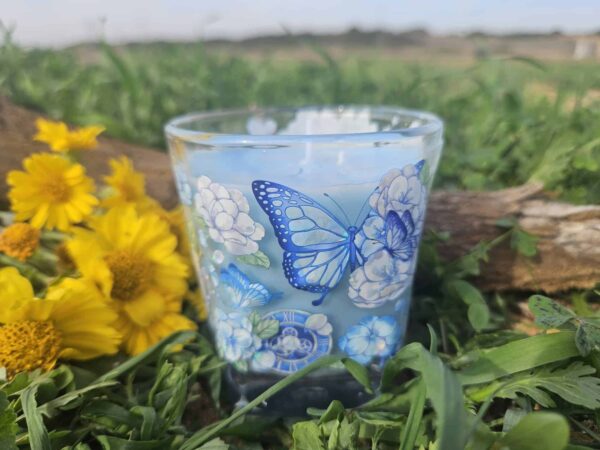 ⁦מארז Osher Adir⁩ – תמונה ⁦4⁩